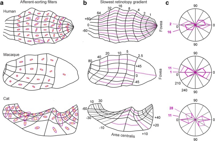 Figure 11.