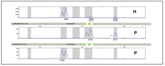 Supplementary Figure 2