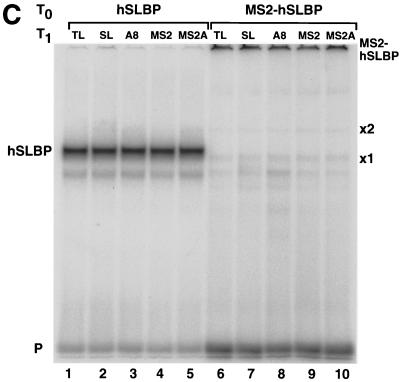 FIG. 8.