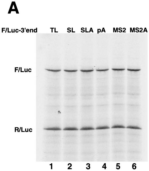 FIG. 8.