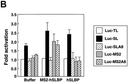 FIG. 8.