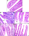 Fig. 4