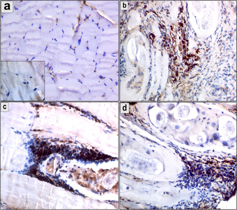 Fig. 9