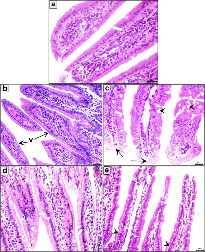 Fig. 4