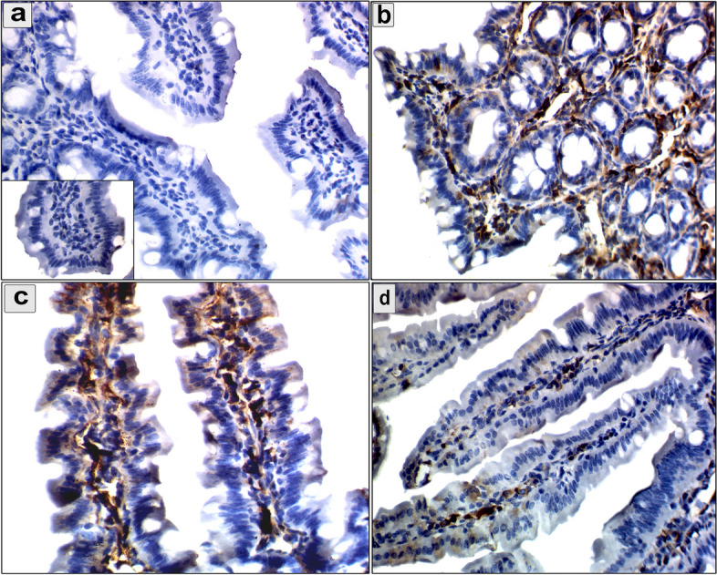 Fig. 7