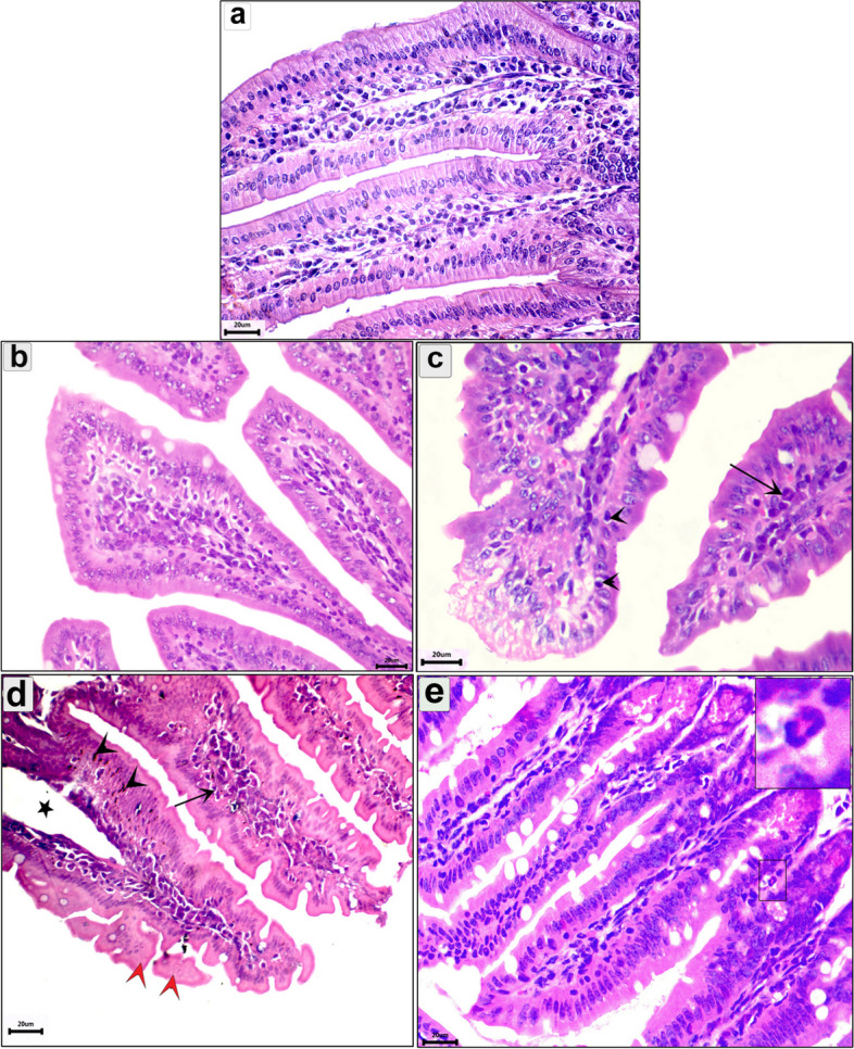 Fig. 3