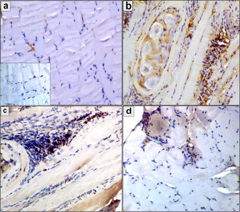 Fig. 8