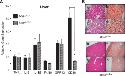 FIG. 7.