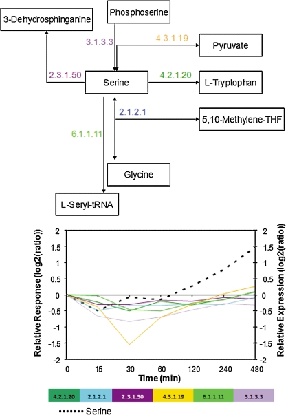 FIG. 6.