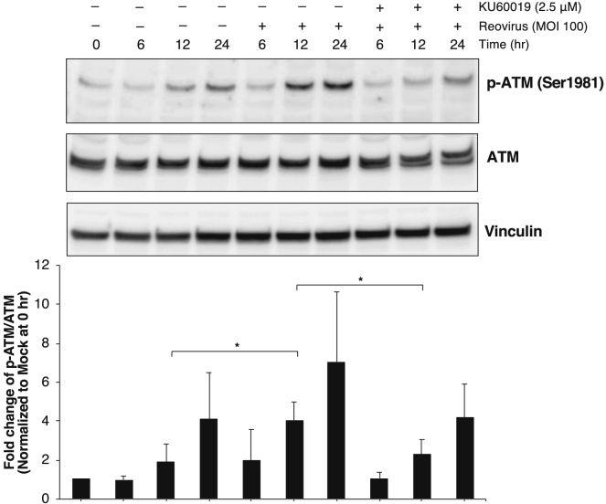 Figure 6