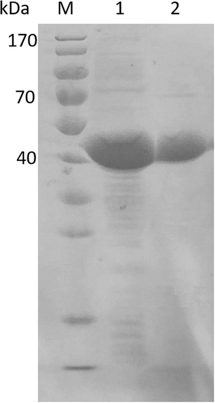 FIGURE 3