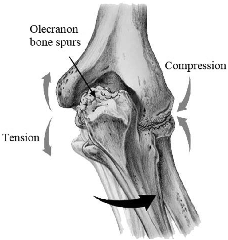 Fig. 3