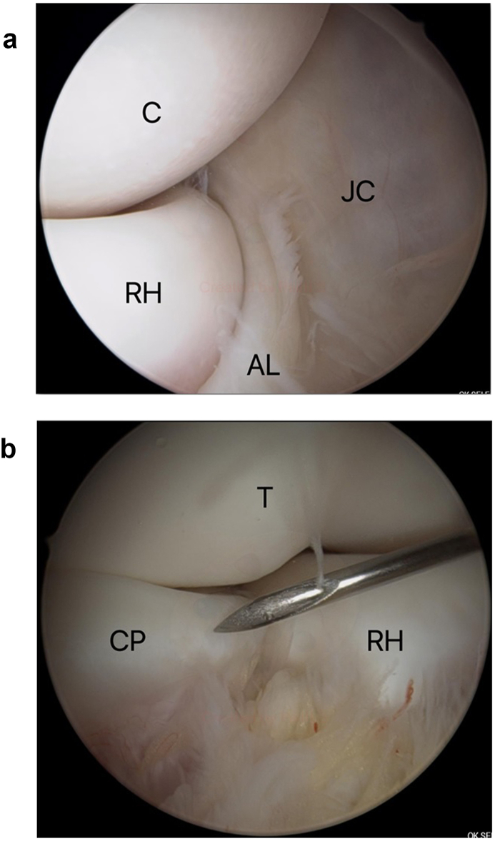 Fig. 6