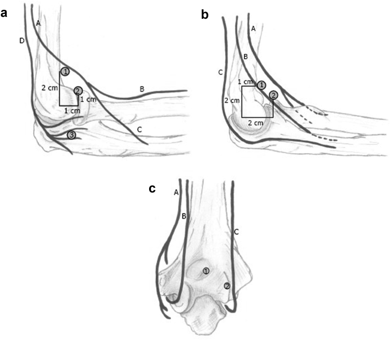 Fig. 5