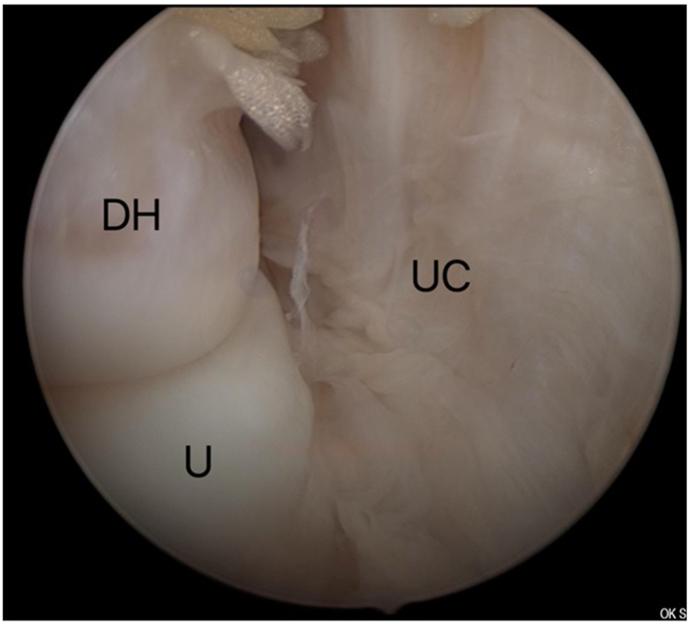 Fig. 8