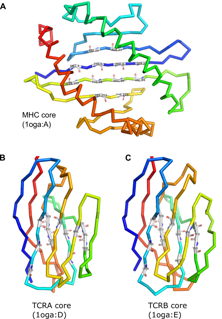 Figure 1—figure supplement 1.