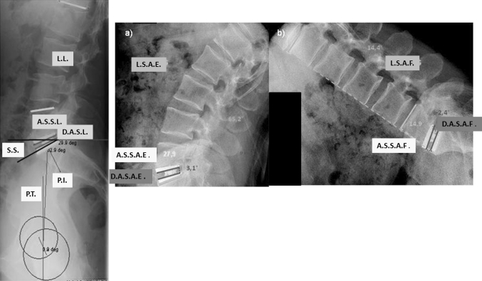 Fig. 11