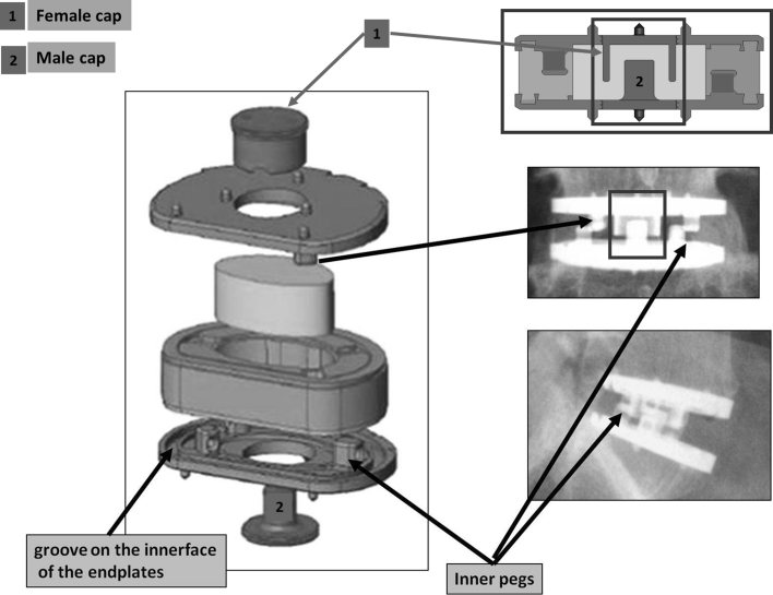 Fig. 3