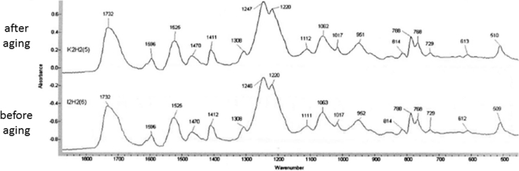 Fig. 10