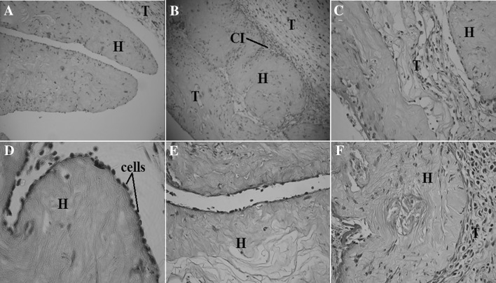 Fig. 9