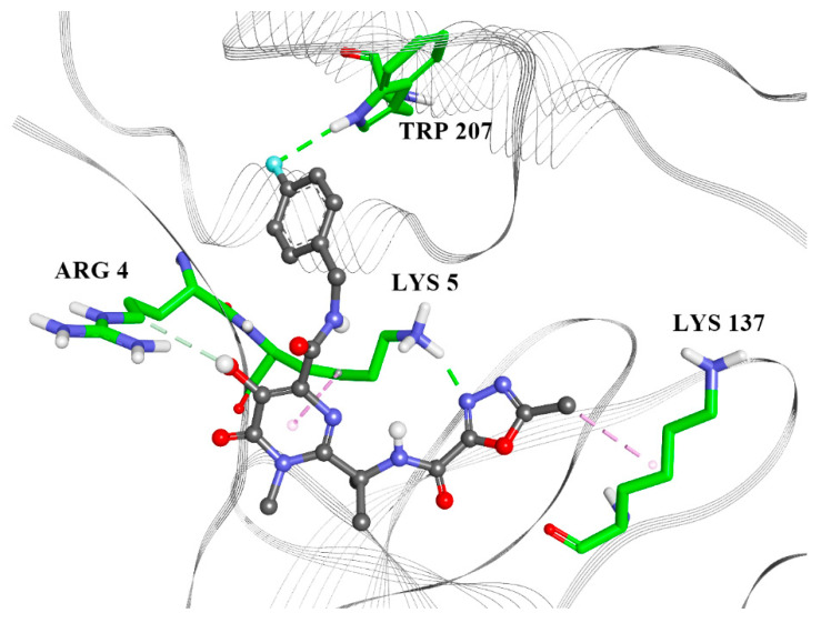 Figure 5