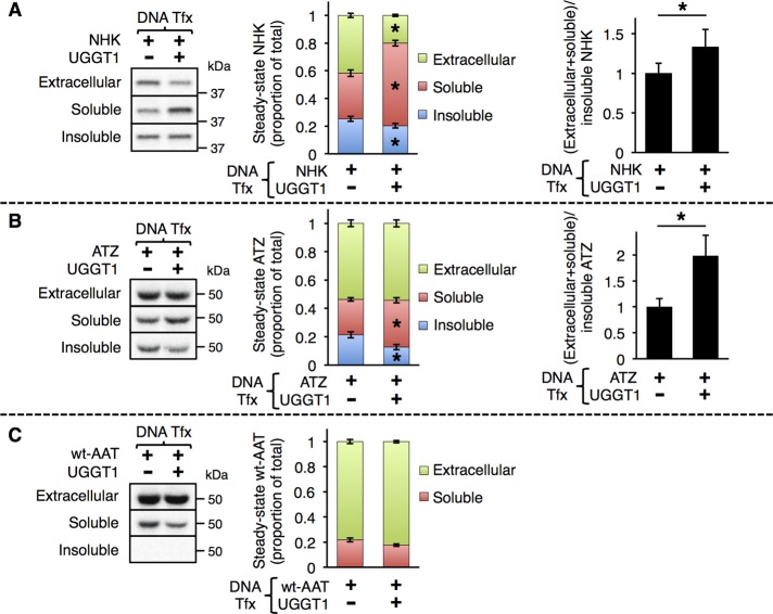 FIGURE 1: