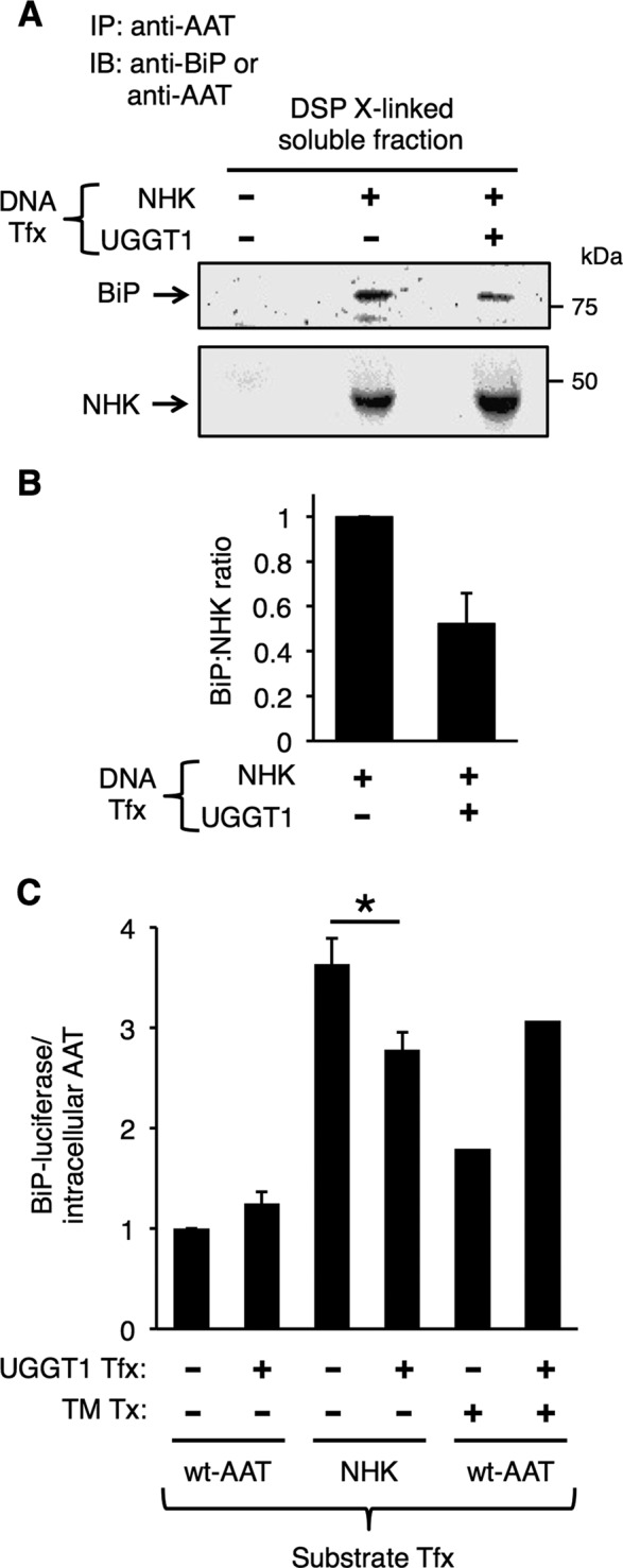 FIGURE 7: