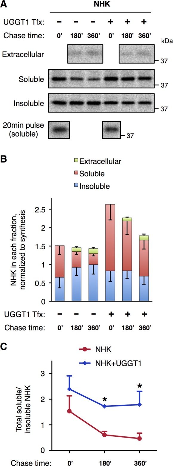 FIGURE 4: