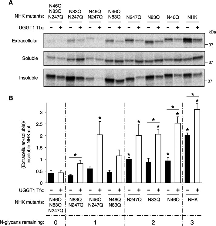 FIGURE 6: