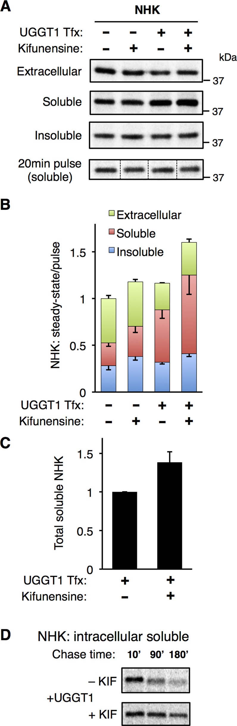 FIGURE 5: