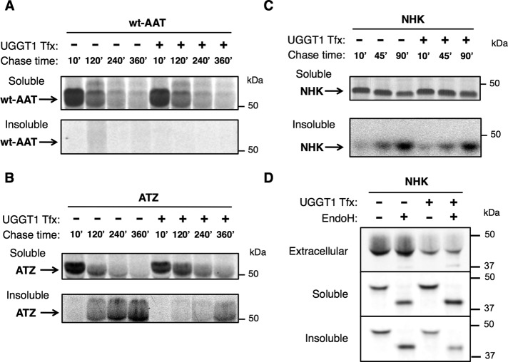 FIGURE 2: