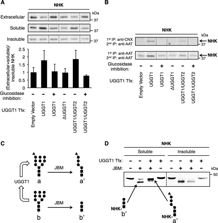 FIGURE 3: