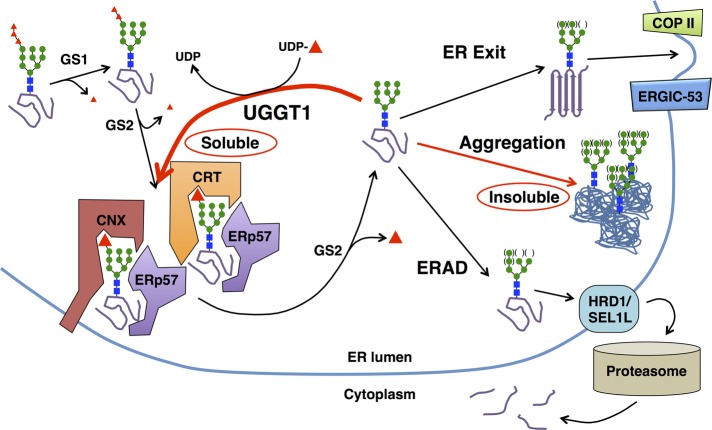 FIGURE 9: