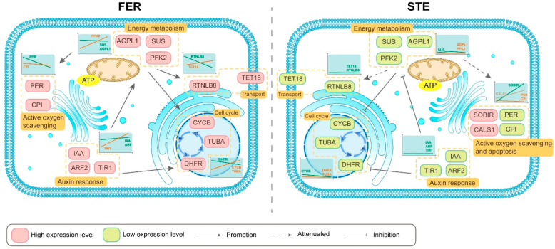 Figure 9