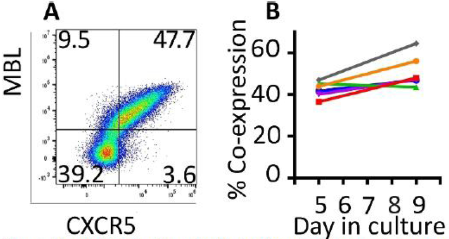 Figure 3: