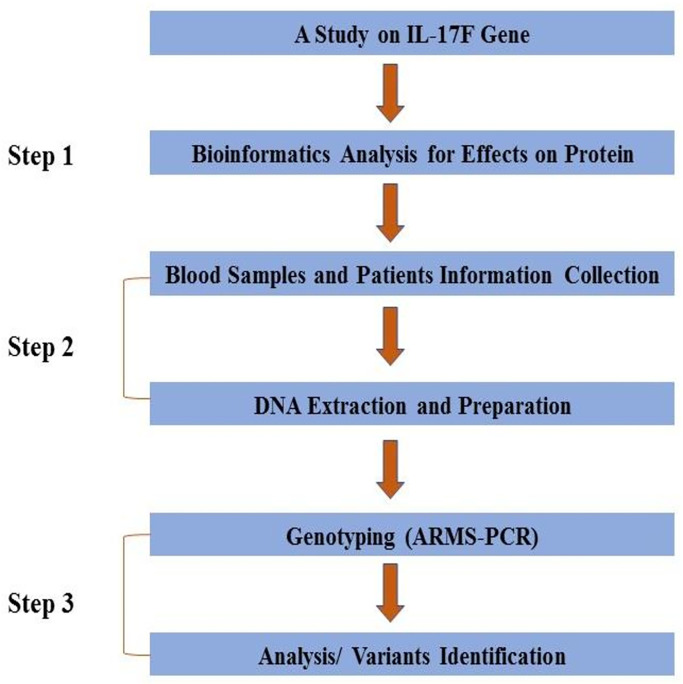 Fig 1