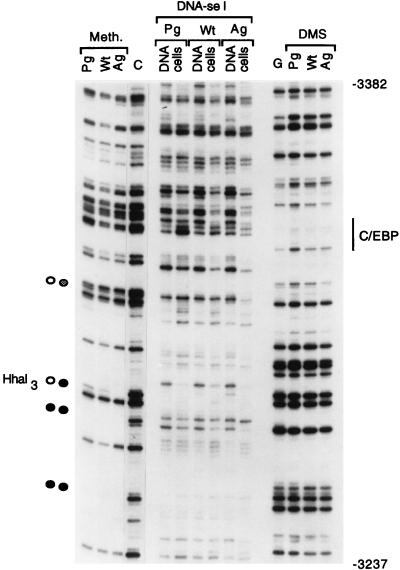 FIG. 7