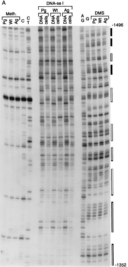 FIG. 6