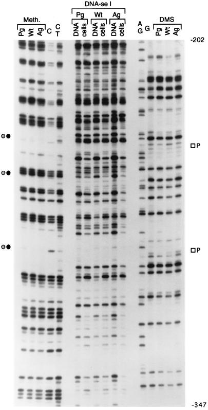 FIG. 5