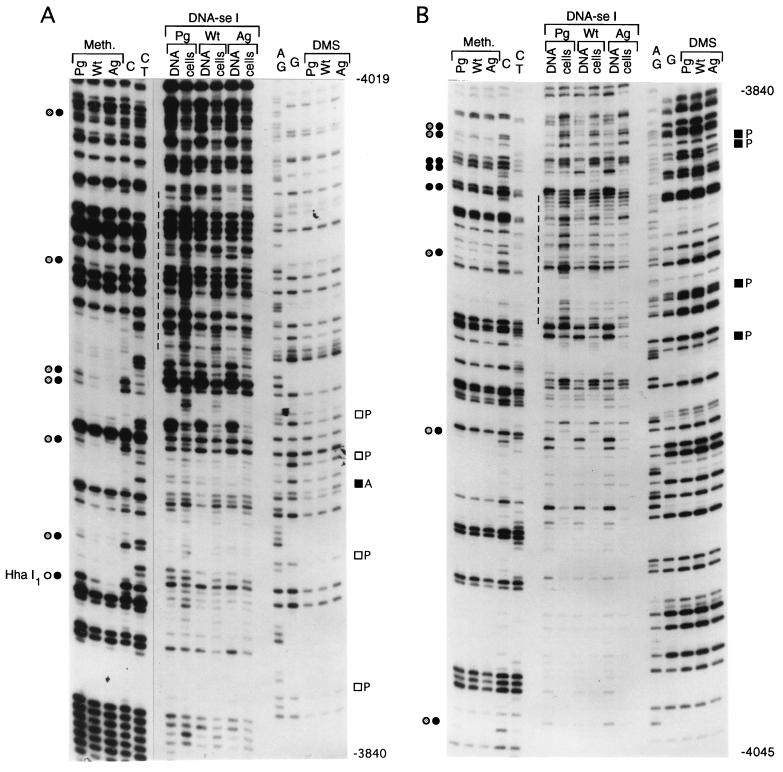 FIG. 8