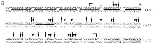 FIG. 6