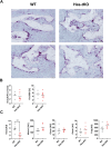 Supplementary Fig. 4