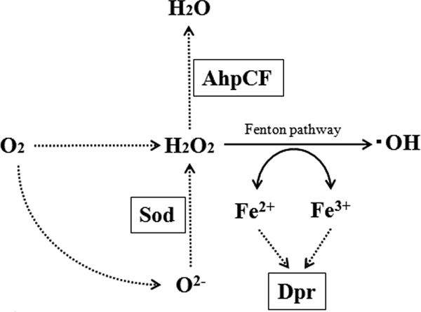 Fig 1