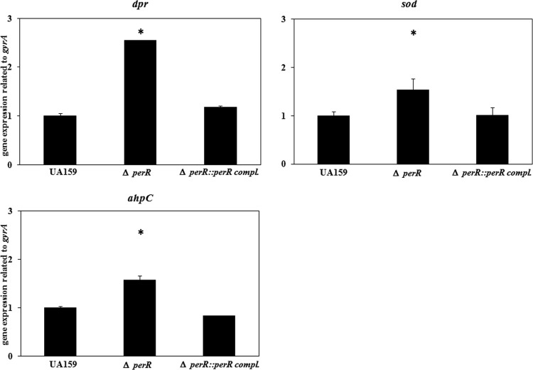 Fig 5