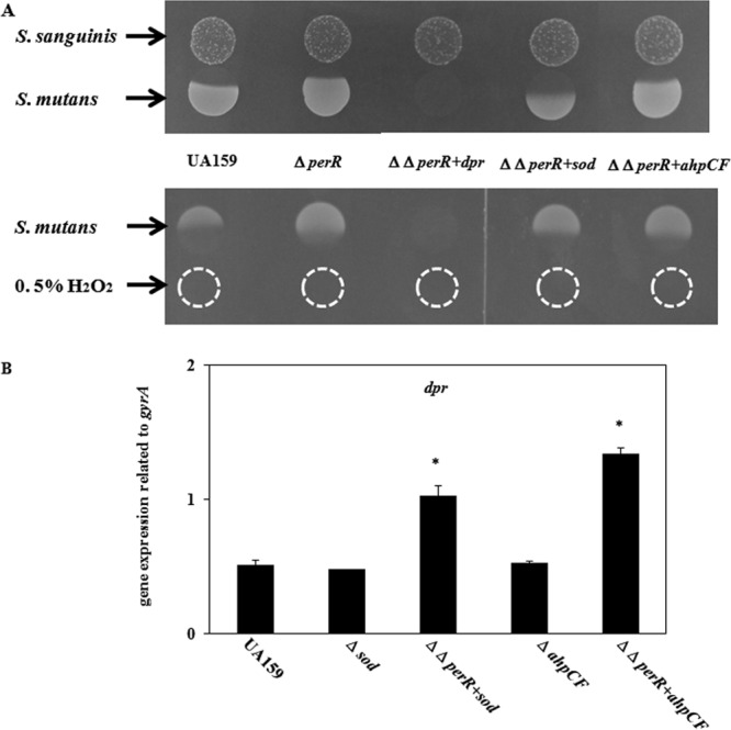 Fig 6