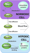 <b>FIG. 6.</b>