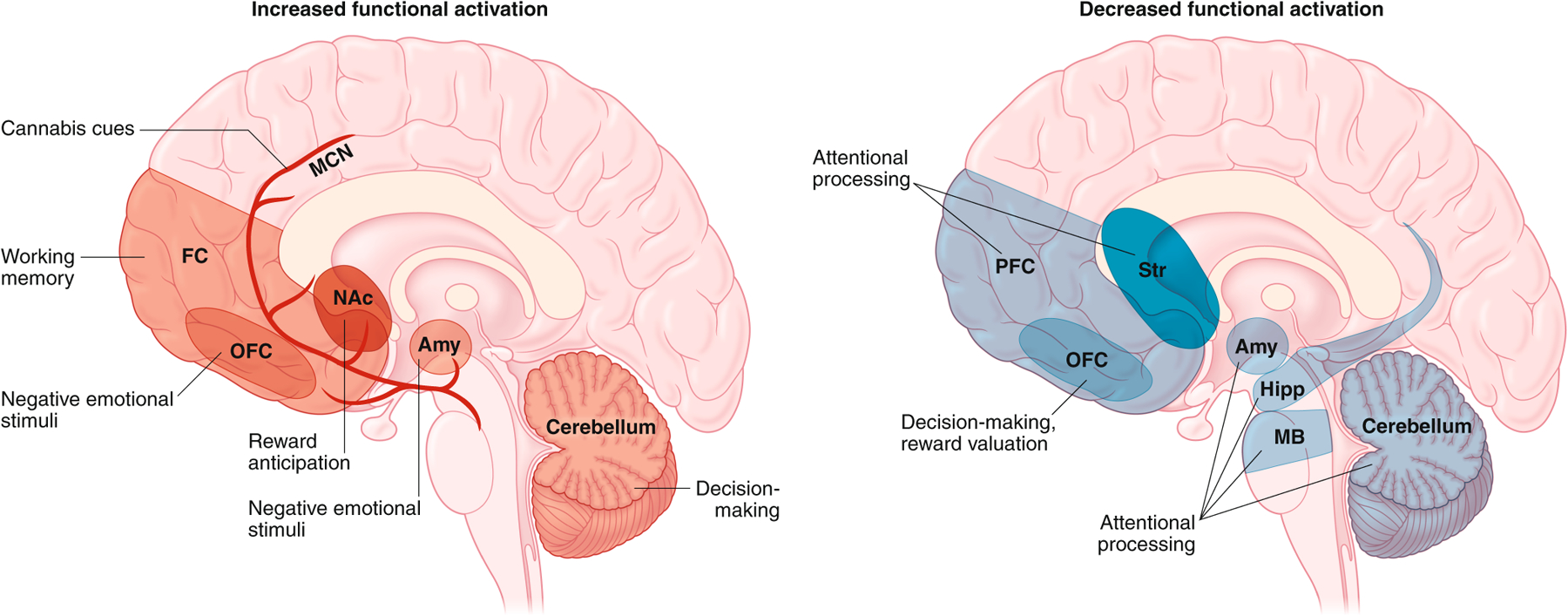 Fig. 4 |