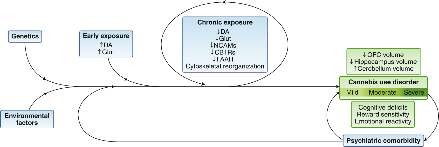 Fig. 6 |