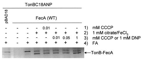 FIG. 9.