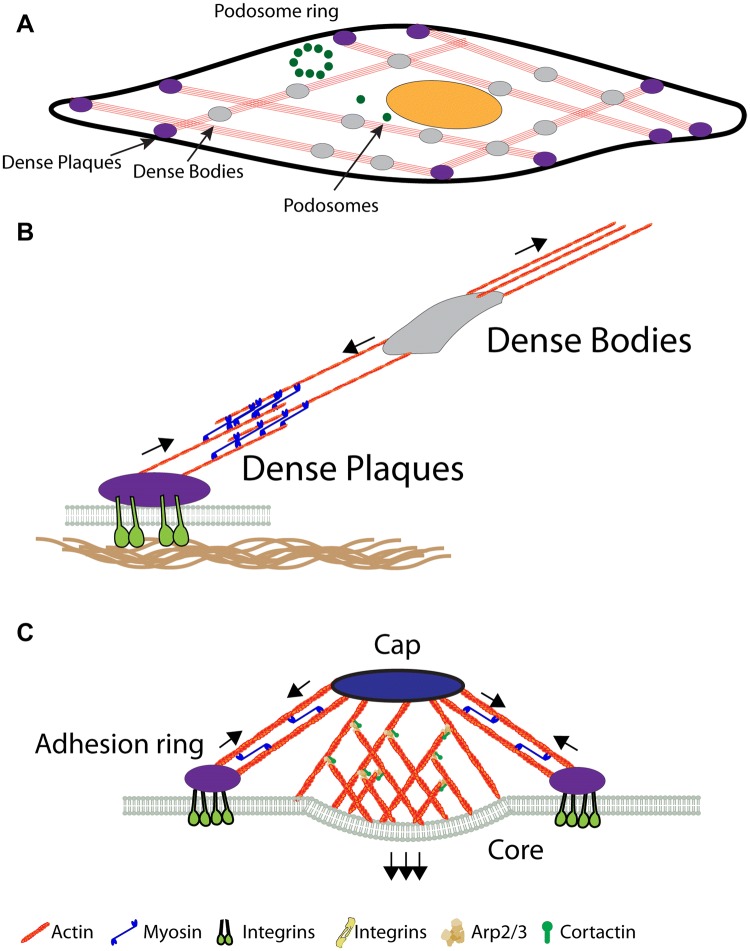 Fig. 2